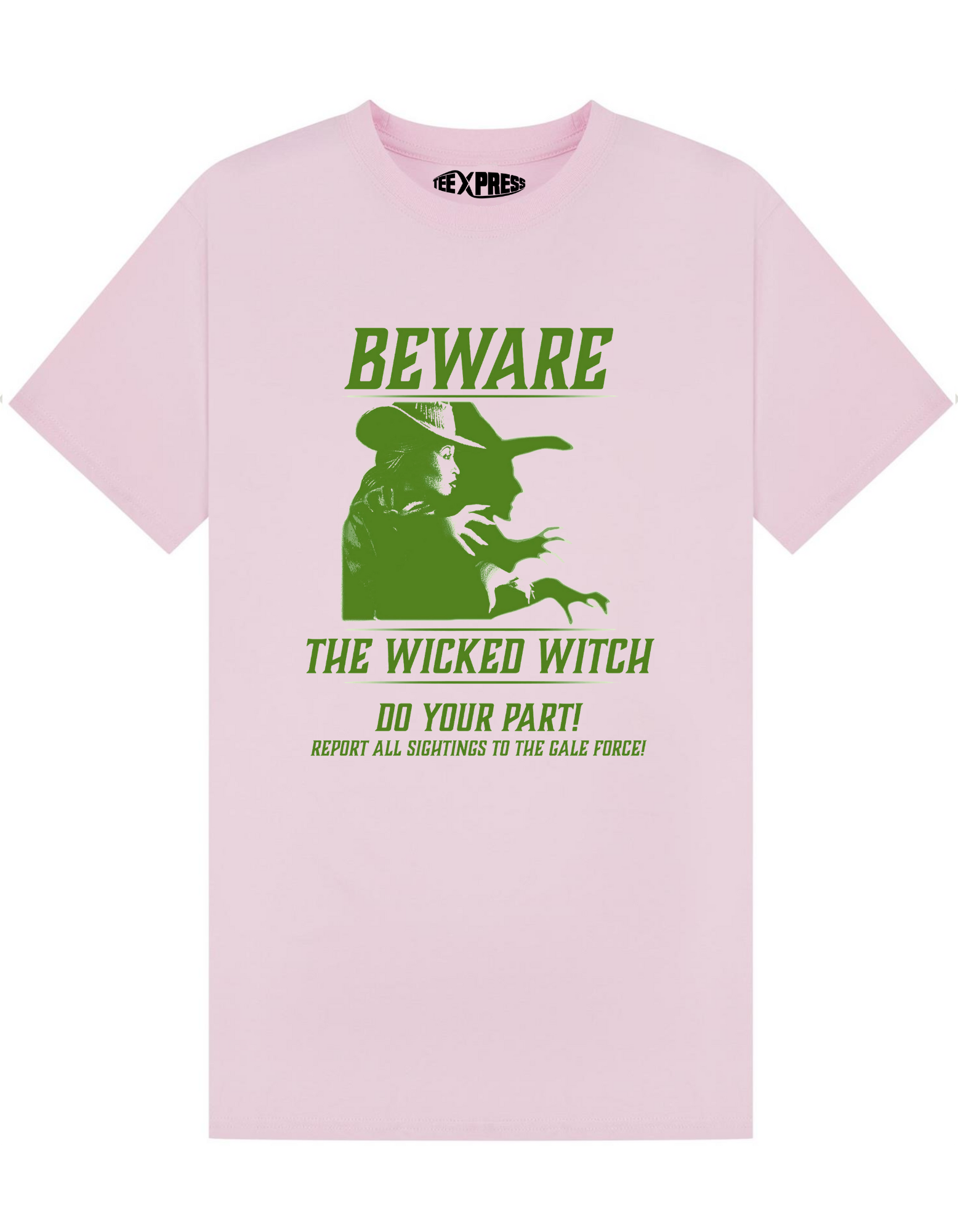 Beware the Wicked Witch T-shirt