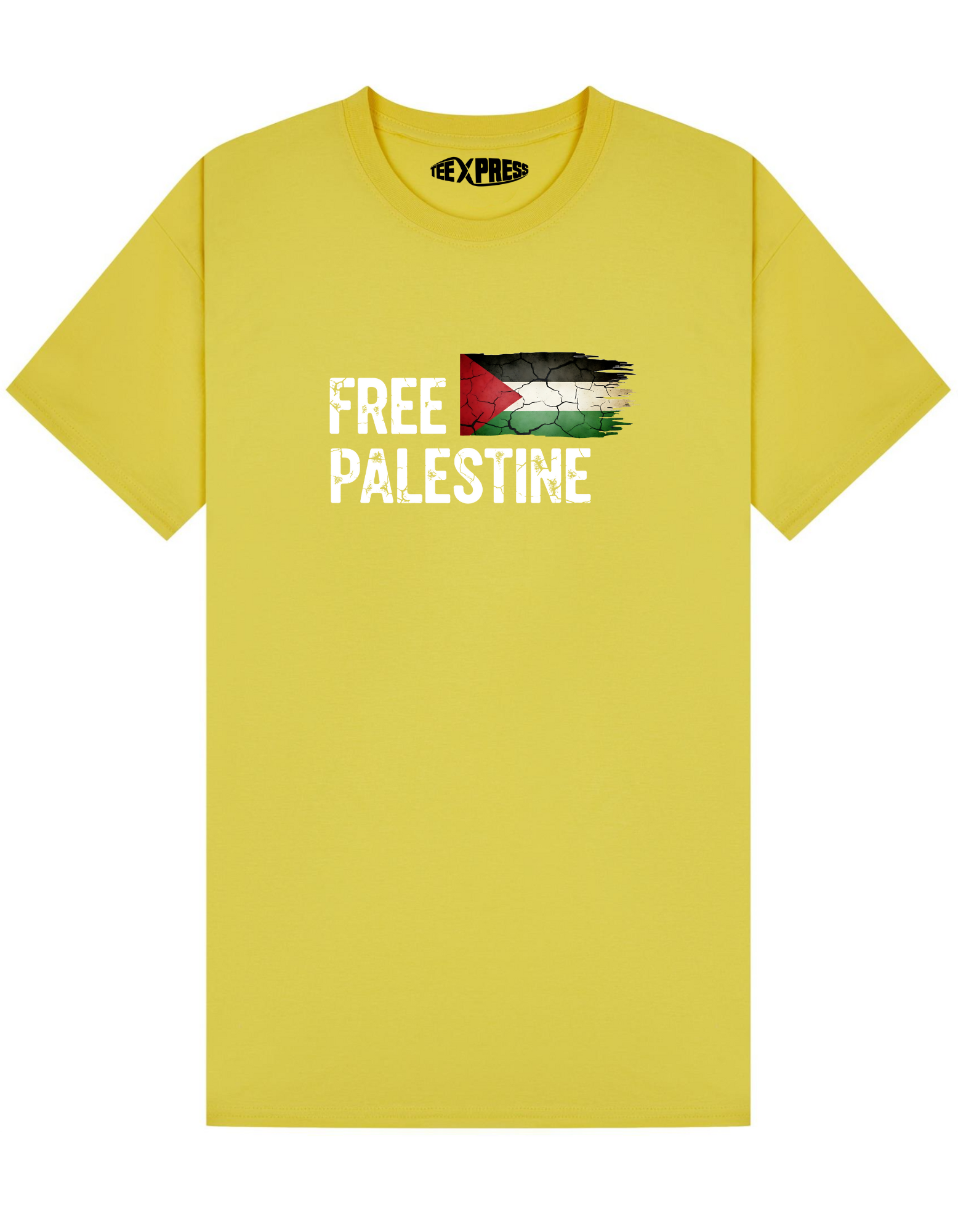 Palestine Solidarity T-shirt