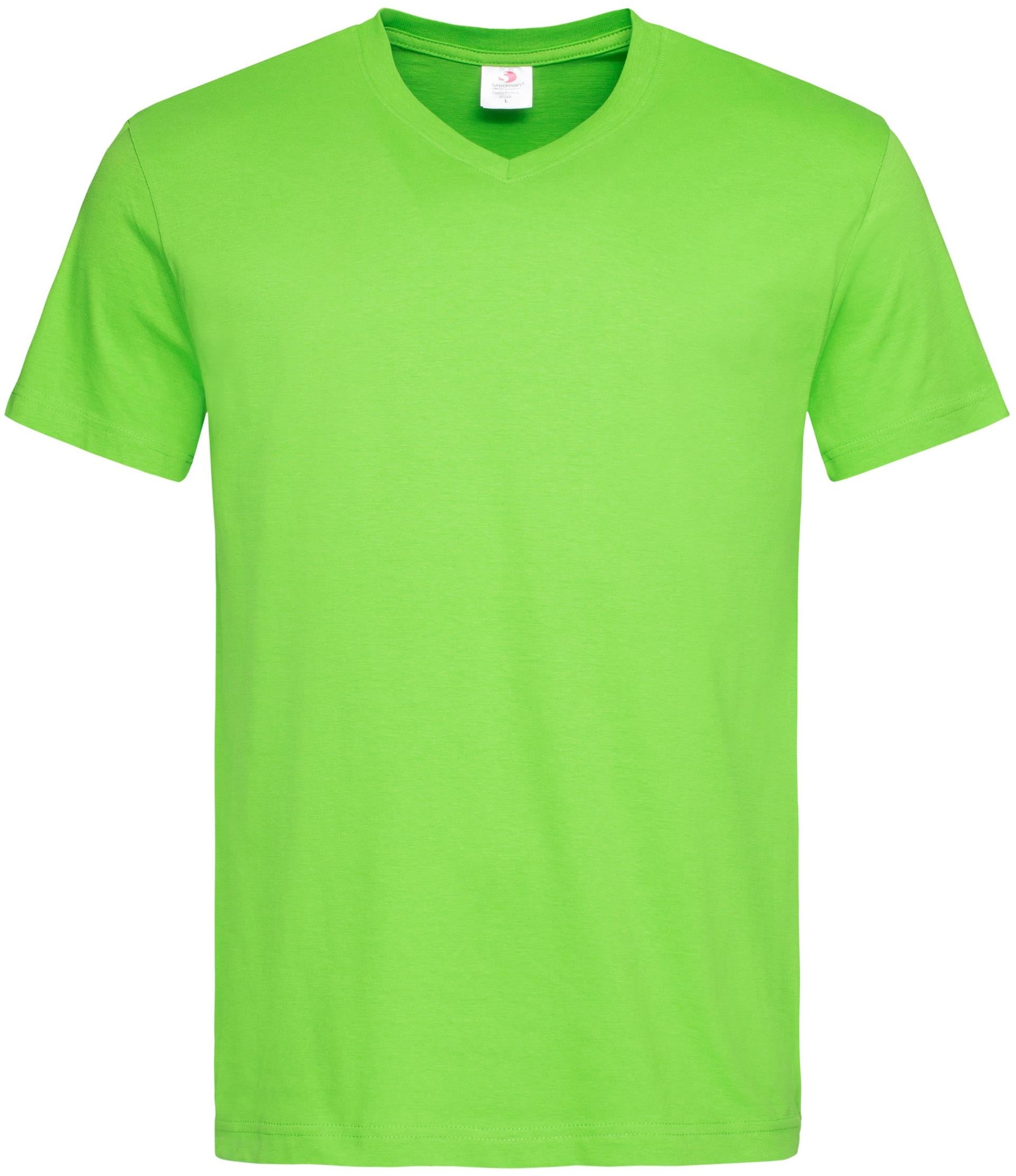 Classic V-Neck T-Shirt 155 Adult