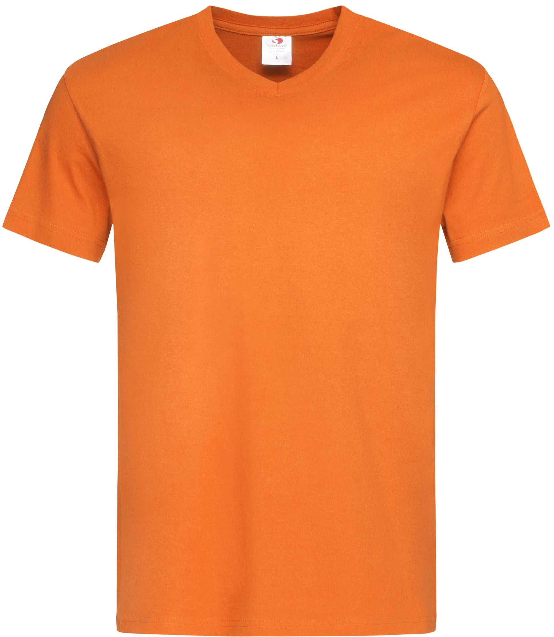 Classic V-Neck T-Shirt 155 Adult