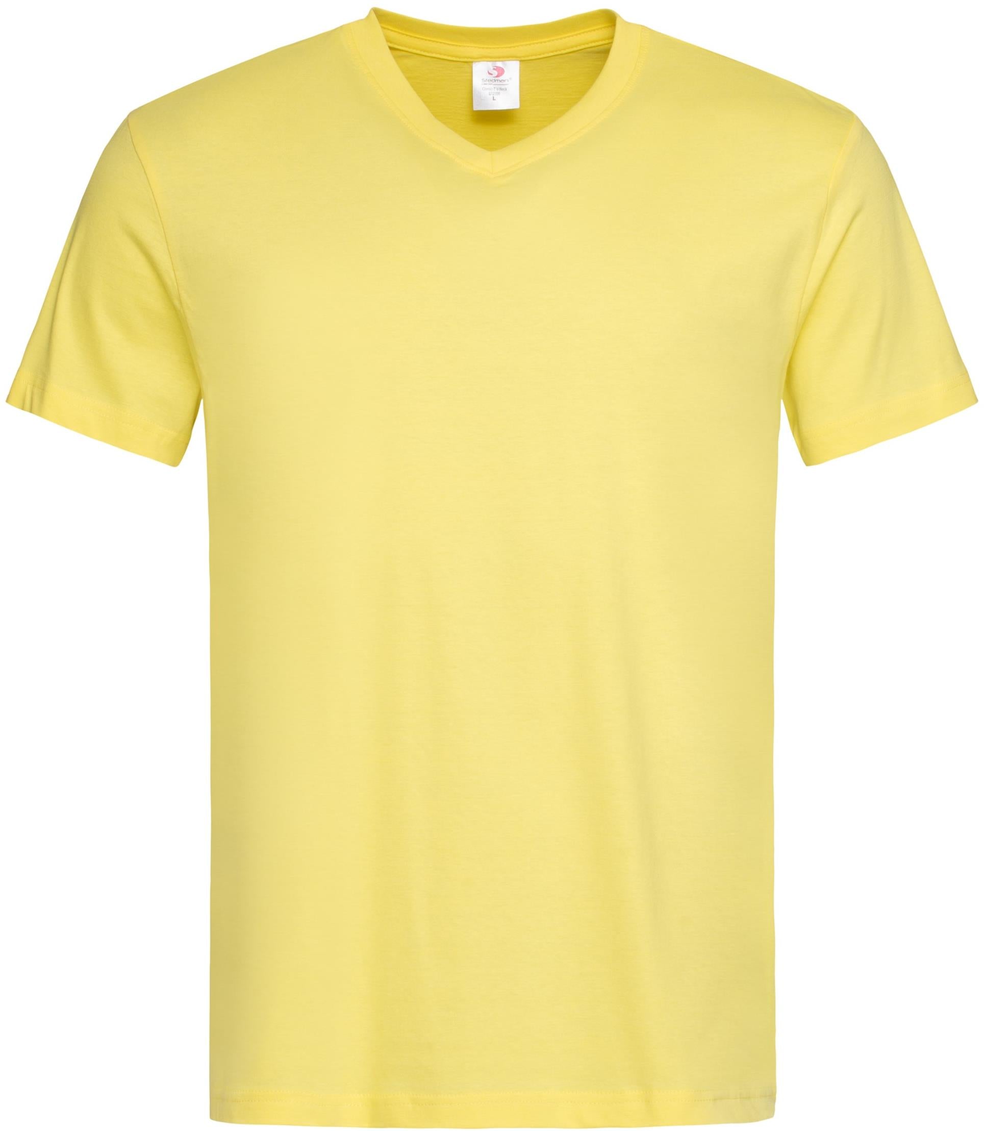 Classic V-Neck T-Shirt 155 Adult