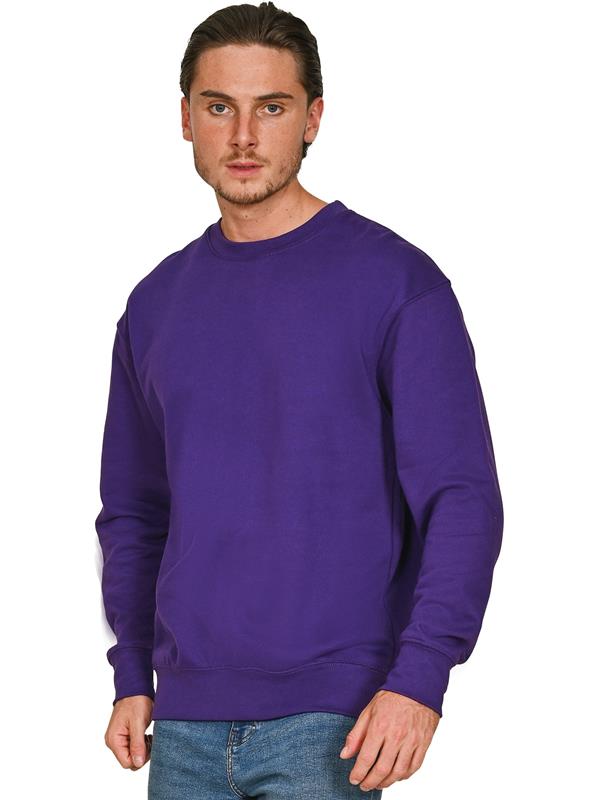 C2400 Purple